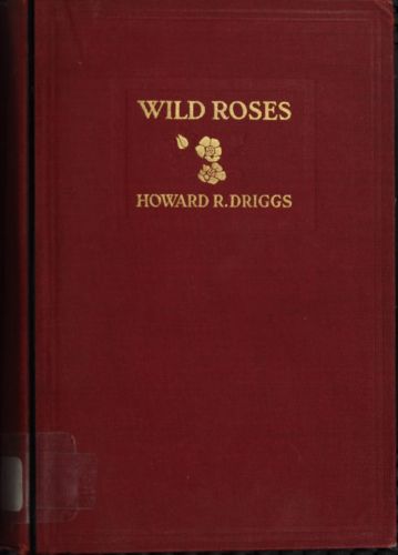 Wild Roses